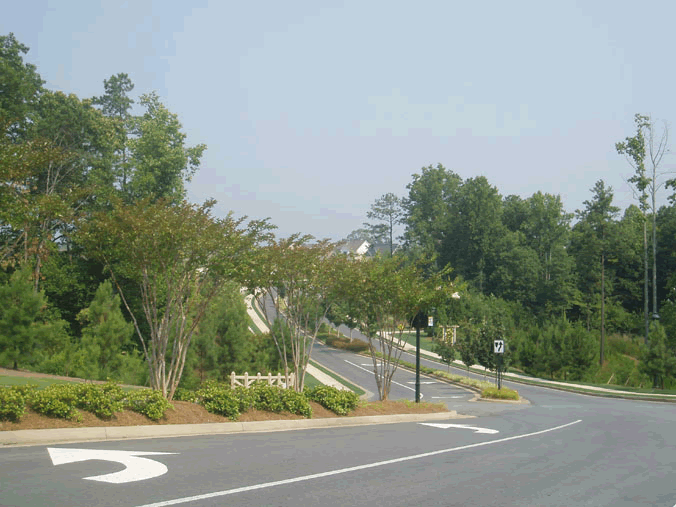 Amentity design, Carroll county, ga