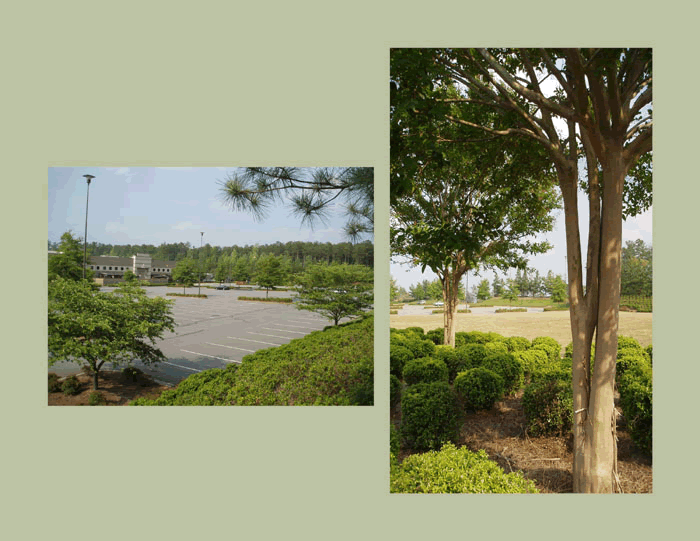 commercial landscaping, atlanta, ga